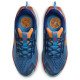 Nike Pegasus Trail 5